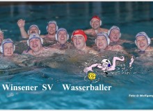 Mannschaft Januar 2015